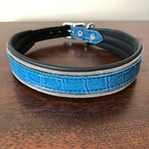 Leather padded dog collar
